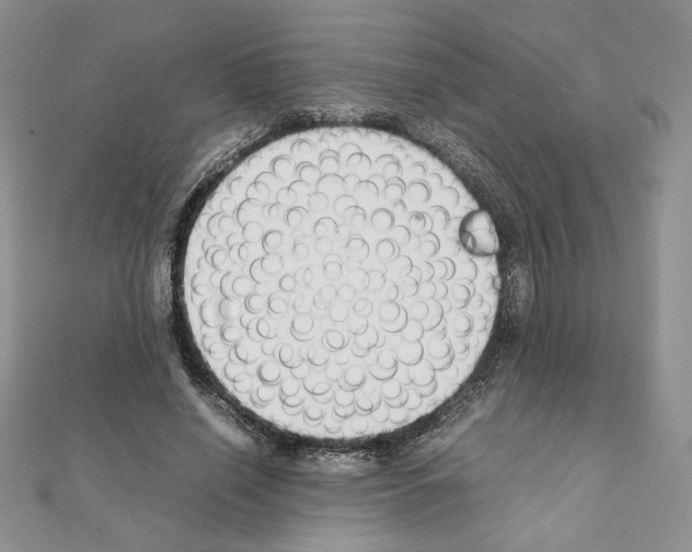 X0000111350638200908211235