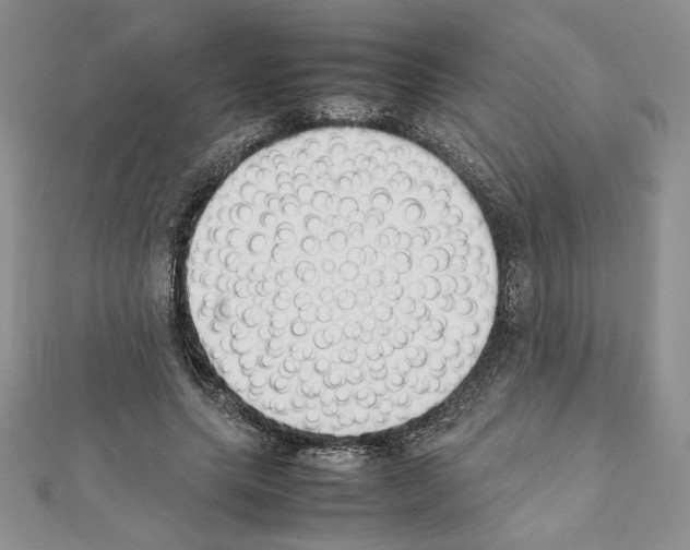 X0000111350639200908211235