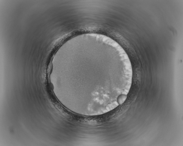X0000111350640200908211235