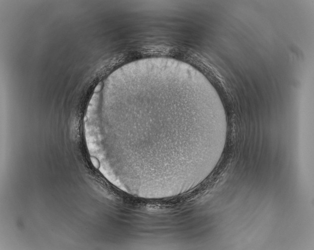 X0000111350641200908211235