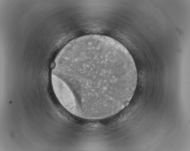 X0000111350642200908211235