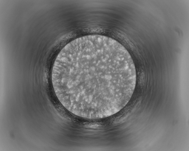 X0000111350643200908211235