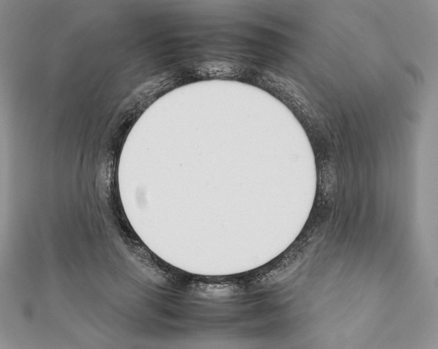 X0000111350645200908211235