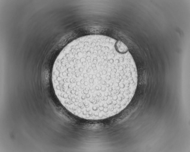 X0000111350646200908211235