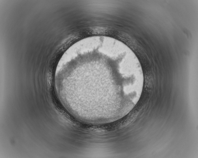 X0000111350648200908211235