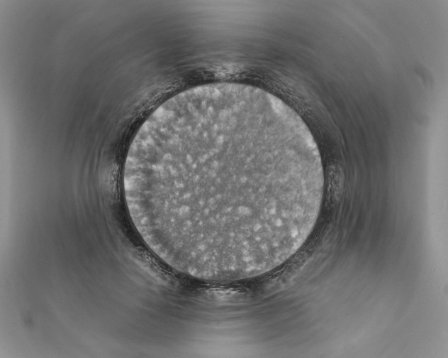 X0000111350650200908211235