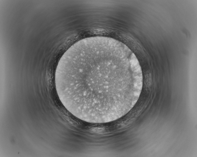 X0000111350653200908211235