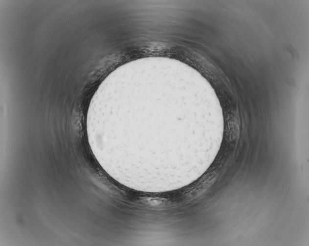 X0000111350654200908211235