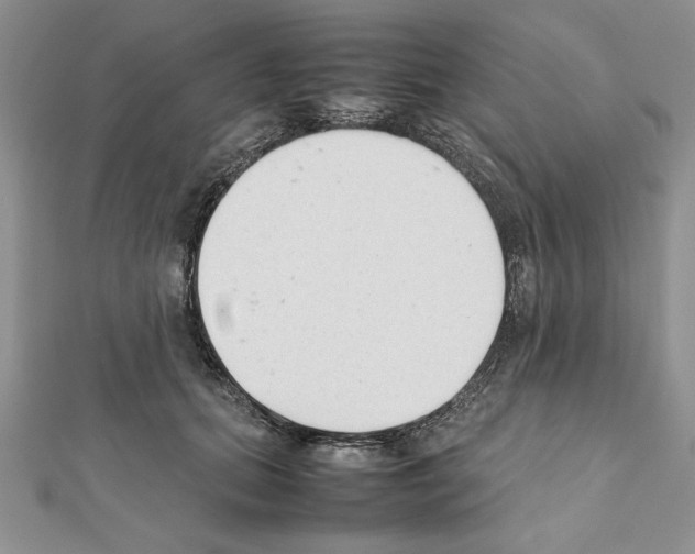 X0000111350655200908211235