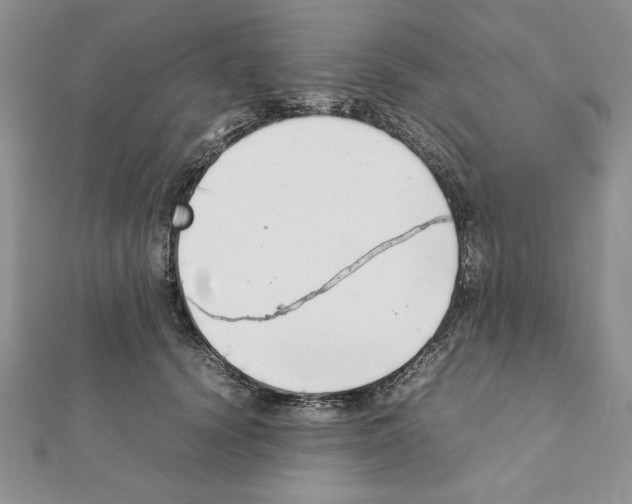 X0000111350656200908211235