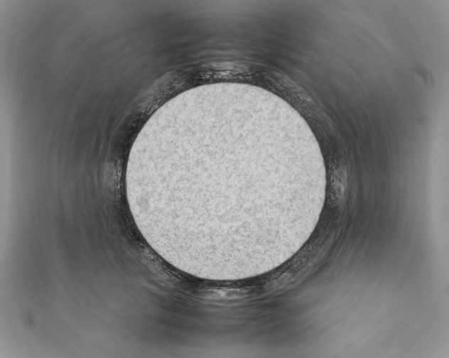 X0000111350657200908211235