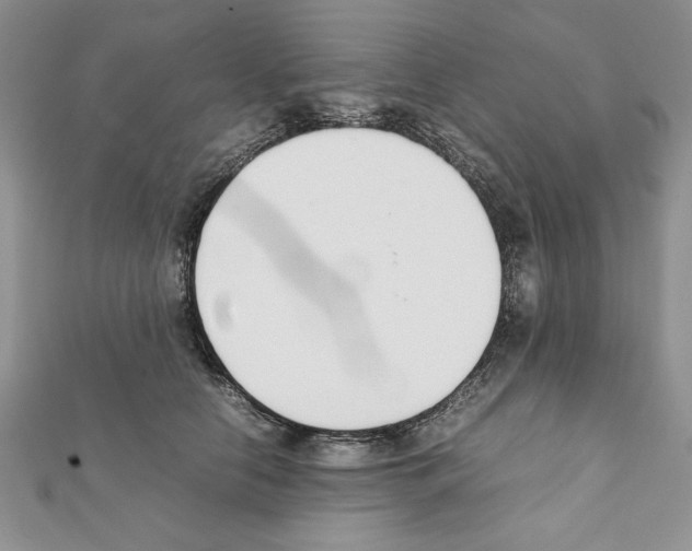 X0000111350658200908211235