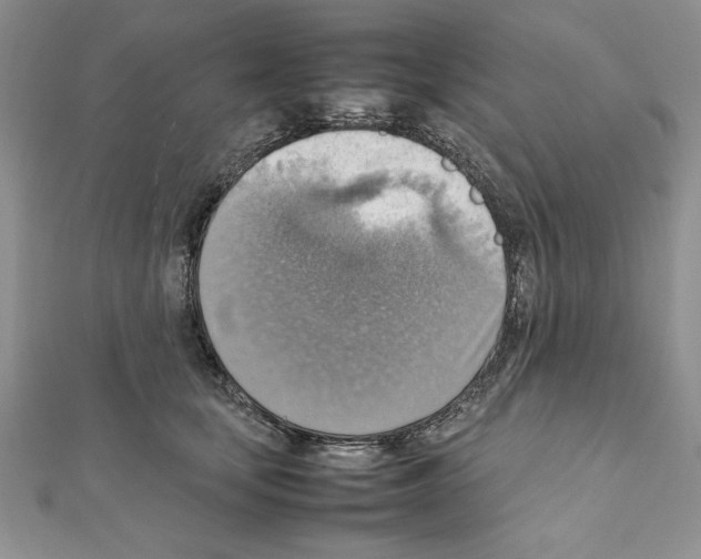 X0000111350659200908211235