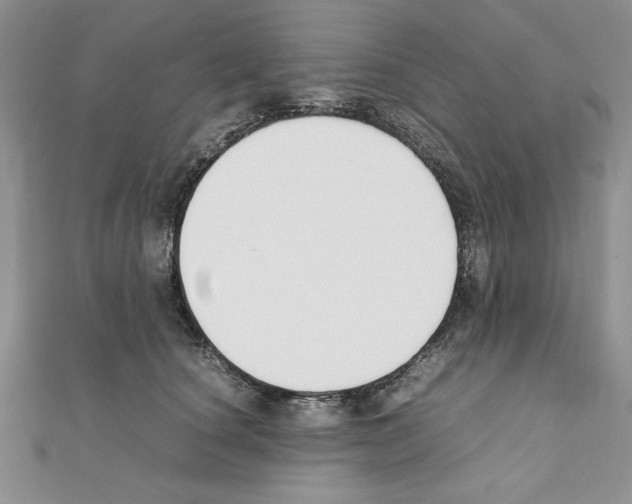 X0000111350660200908211235