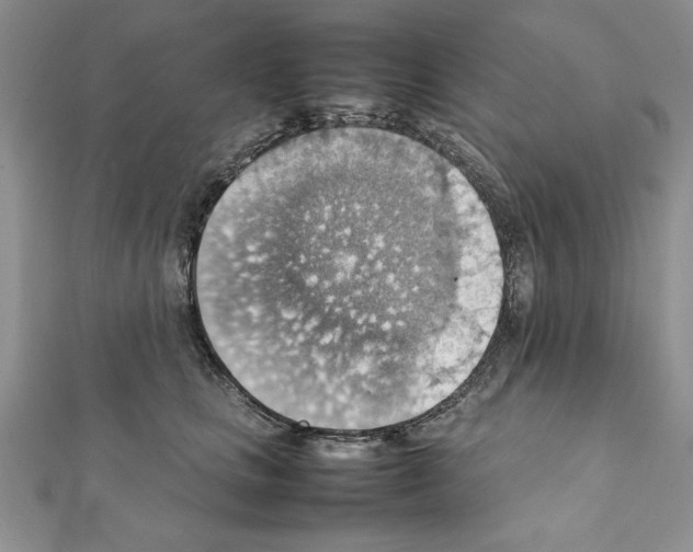 X0000111350661200908211235