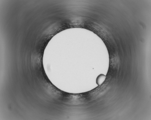 X0000111350662200908211235