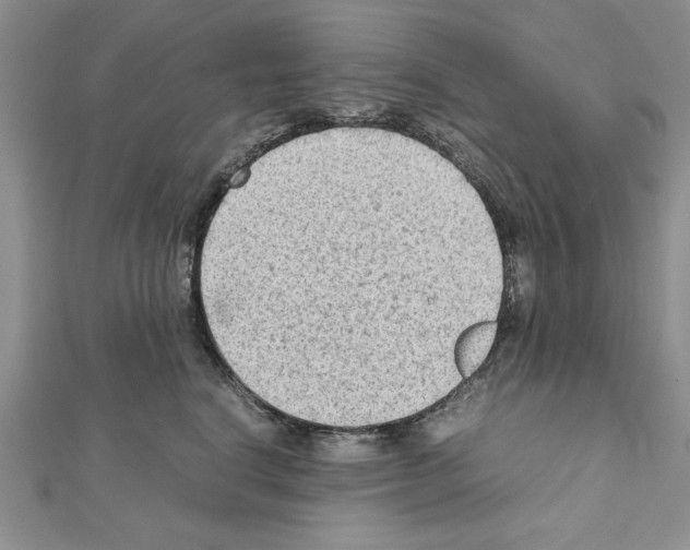 X0000111350664200908211235