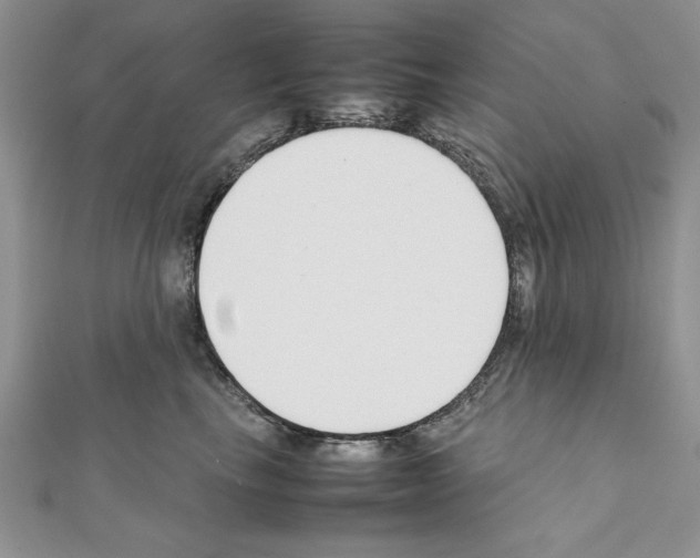 X0000111350665200908211235