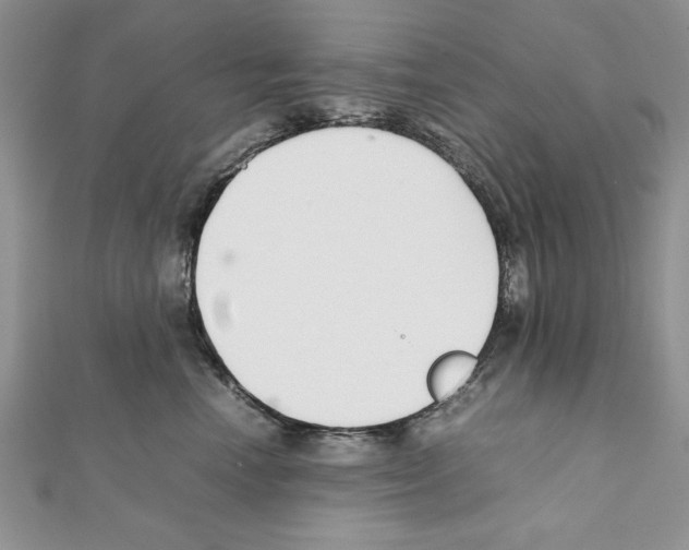 X0000111350666200908211235