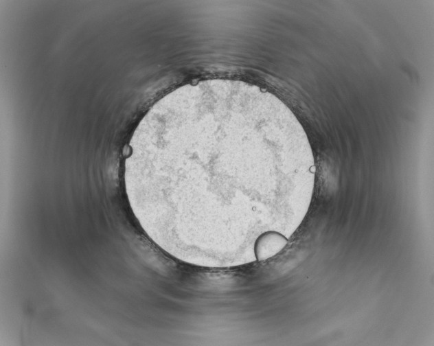 X0000111350668200908211235