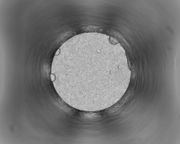 X0000111350669200908211235