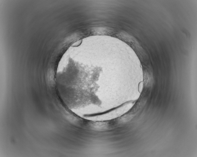 X0000111350670200908211235
