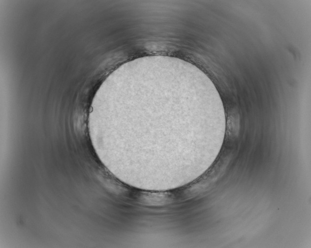 X0000111350671200908211236