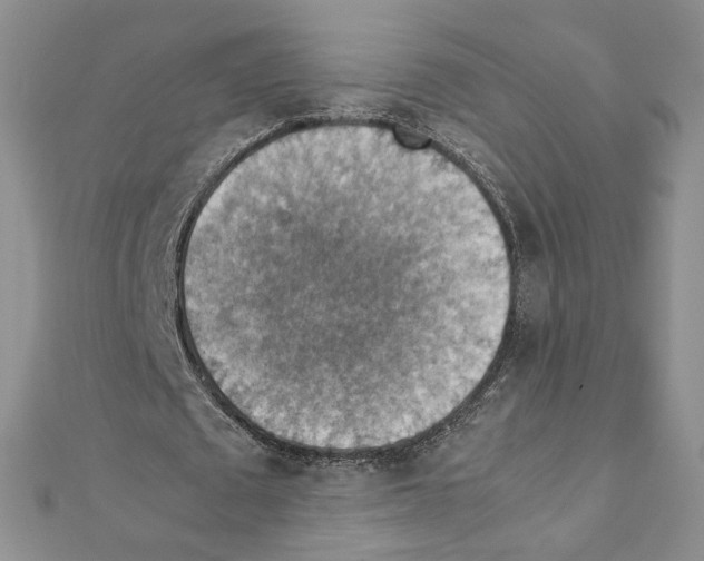 X0000111350673200908211235