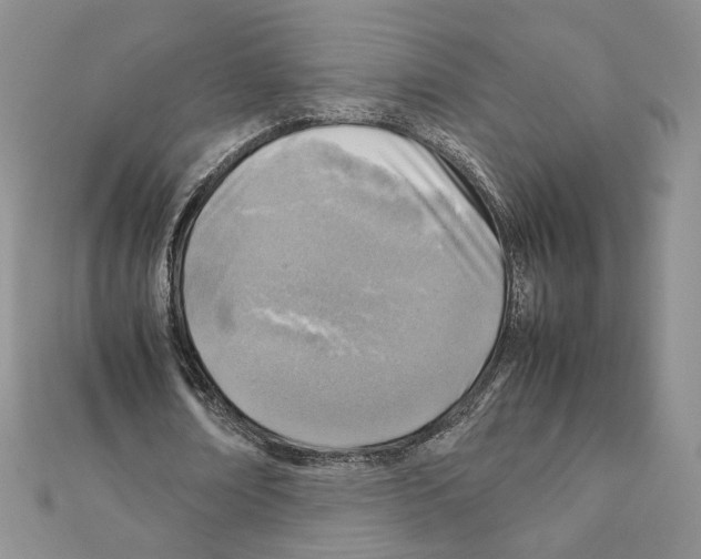 X0000111350674200908211235