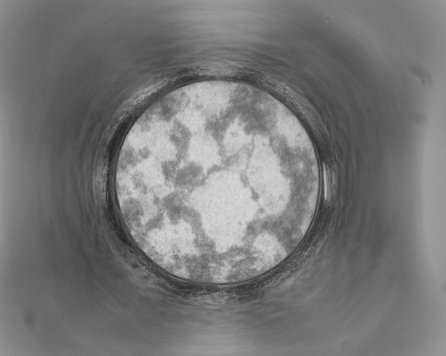 X0000111350675200908211235