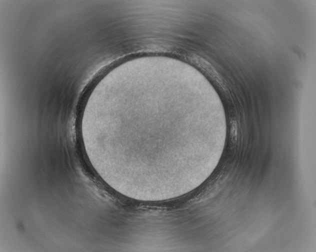 X0000111350676200908211235
