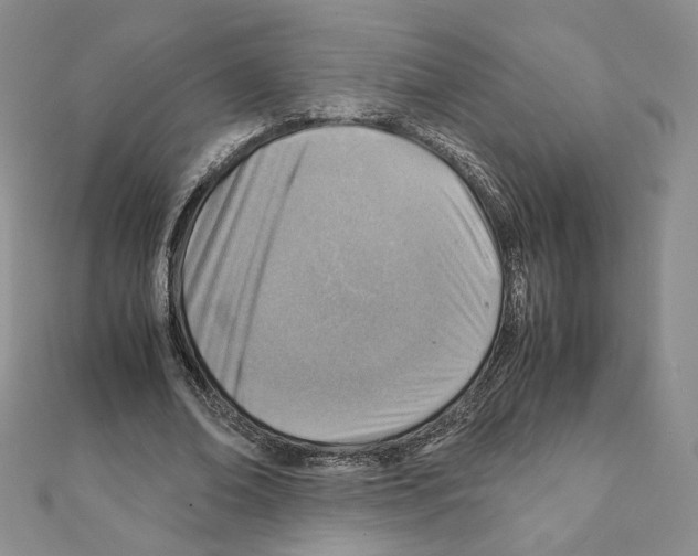 X0000111350678200908211235