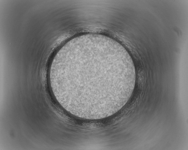 X0000111350679200908211235