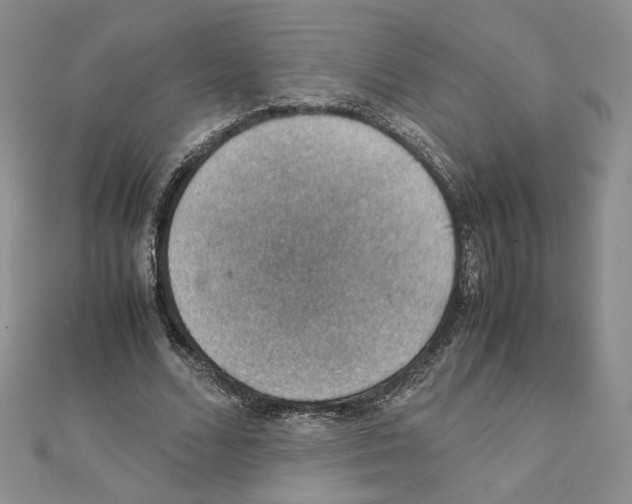 X0000111350680200908211235