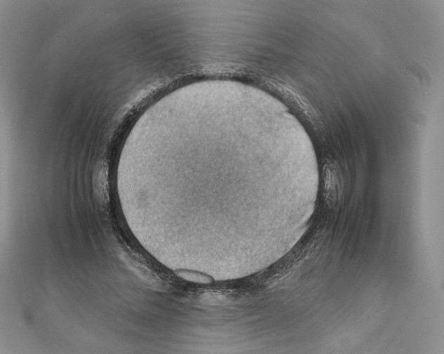 X0000111350684200908211235