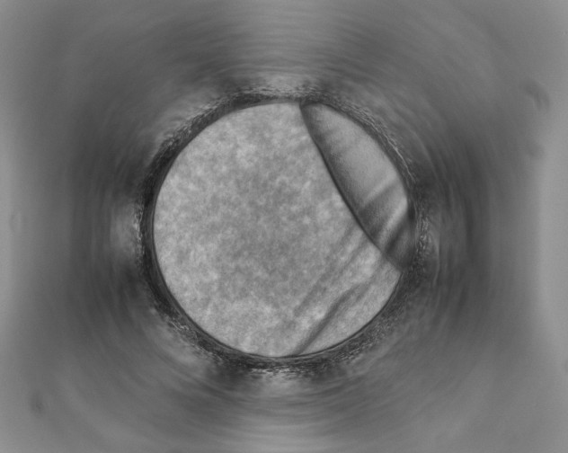 X0000111350688200908211235