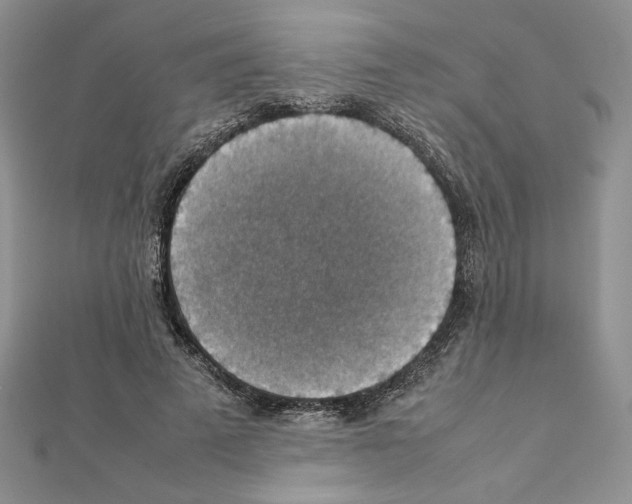 X0000111350689200908211235
