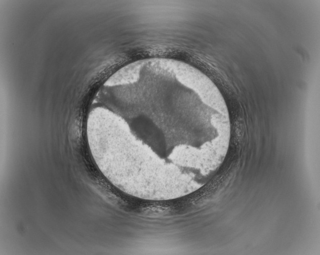 X0000111350691200908211235
