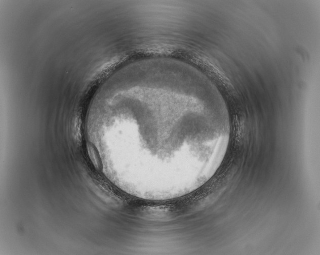 X0000111350692200908211235