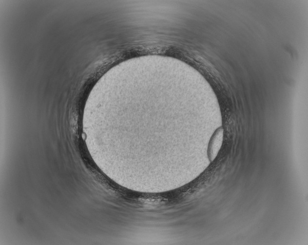 X0000111350693200908211235