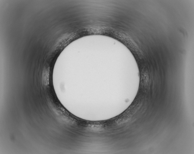 X0000111350694200908211235