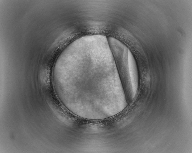 X0000111350696200908211234