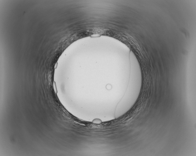 X0000111350697200908211234