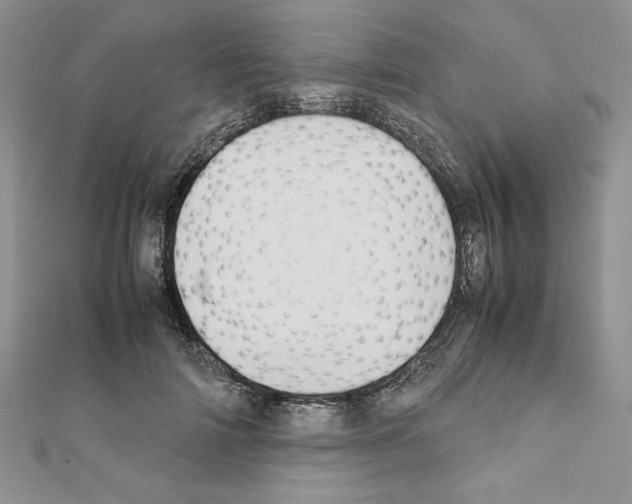 X0000111350698200908211234
