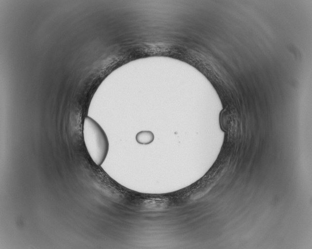 X0000111350700200908211234