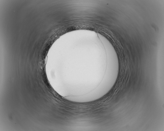 X0000111350701200908211234