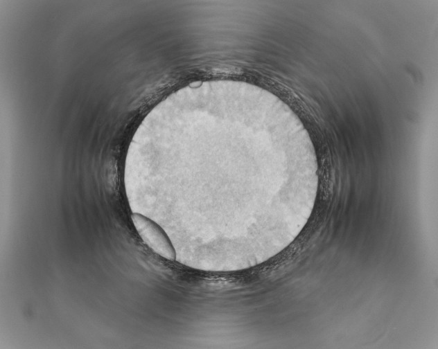 X0000111350704200908211234