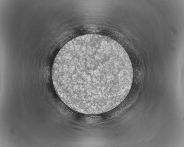 X0000111350707200908211234
