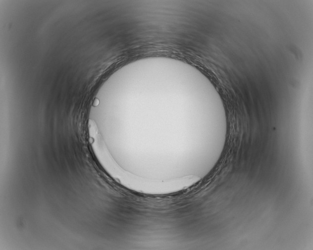 X0000111350708200908211234