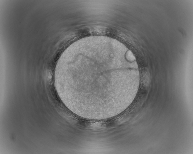 X0000111350709200908211234
